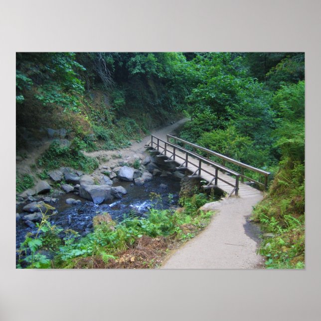 Póster Puente en las cataratas de Latourell, Oregón (Frente)