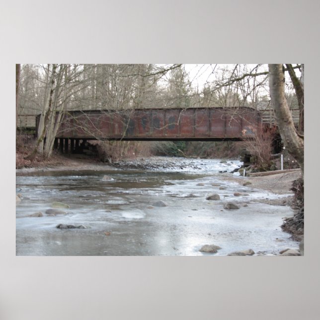 Póster Puente helado (Frente)