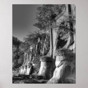 Póster Puente Interurbano