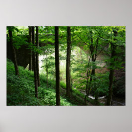 Póster Puente Letchworth Bosque Verde 36" x 24"