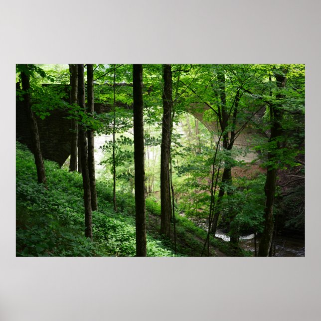 Póster Puente Letchworth Bosque Verde 36" x 24" (Frente)