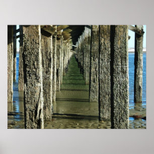 Póster puente mA duxbury del powderpoint