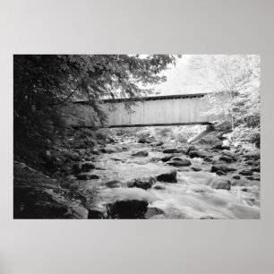 Póster Puente marrón