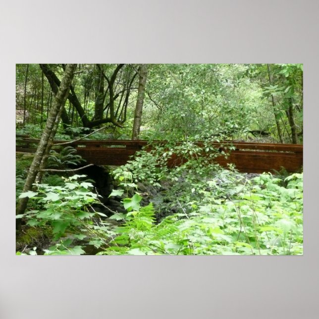 Póster Puente Muir Woods I (Frente)