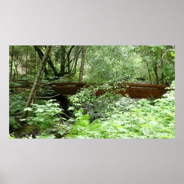 Póster Puente Muir Woods I (Frente)