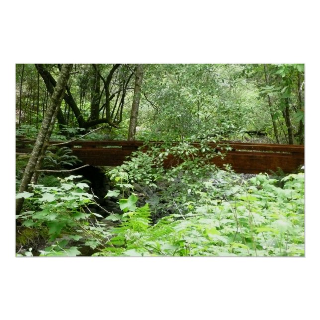 Póster Puente Muir Woods I (Anverso)