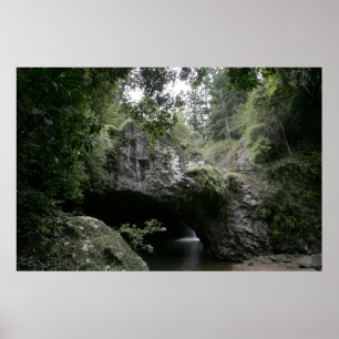 Póster Puente natural