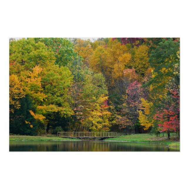 Póster Puente Seven Springs Fall II Paisaje de Otoño (Anverso)