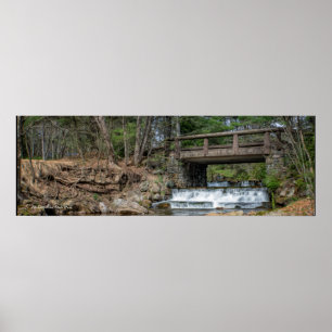 Póster Puente sobre carrera de hickory