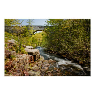 Póster Puente sobre el río