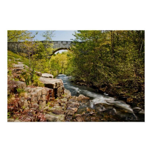 Póster Puente sobre el río (Anverso)