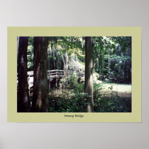 Póster Puente Swamp