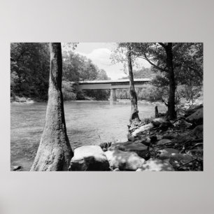 Póster Puente Swann