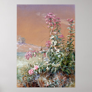 Póster Puentes de Fidelia sin título