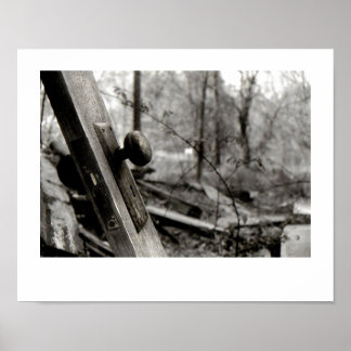 Póster Puerta abandonada en el Poster de Bosques