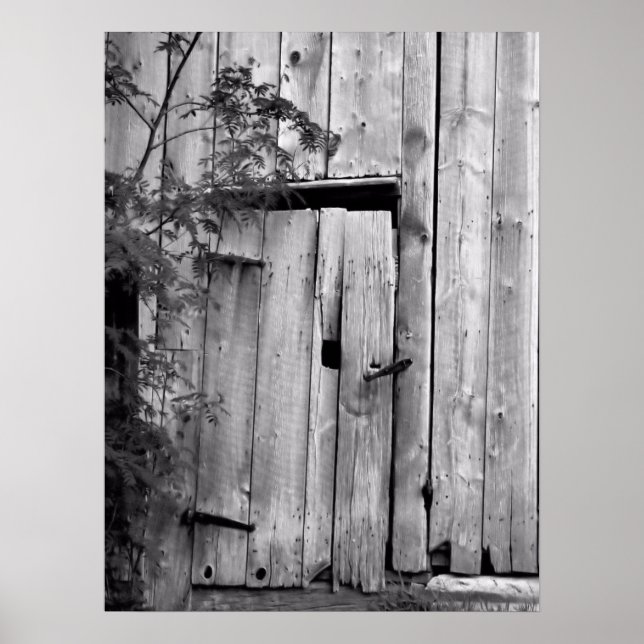 Póster Puerta de Granero con Árbol (Frente)
