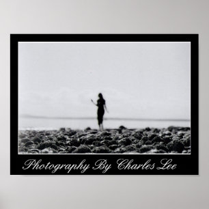 Póster Puerto deportivo Elliot Bay 1