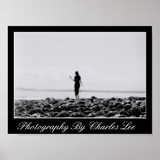 Póster Puerto deportivo Elliot Bay 1