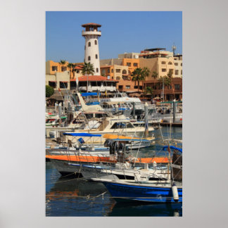 Póster Puerto frente al mar en Cabo San Lucas