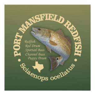 Póster Puerto Mansfield (robalo)
