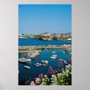 Póster Puerto rojo de Newquay, Cornualles, flores