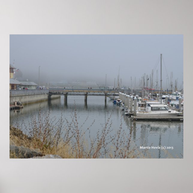 Póster Puerto seguro (Frente)