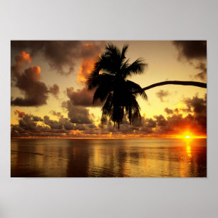 Póster Puerto Vallarta