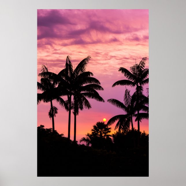 Póster Puesta de sol a través de palmeras (Frente)