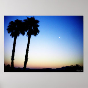 Póster puesta de sol azul naranja amarillo con palmeras