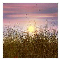 Puesta de sol campo de trigo dorado pintura al óle
