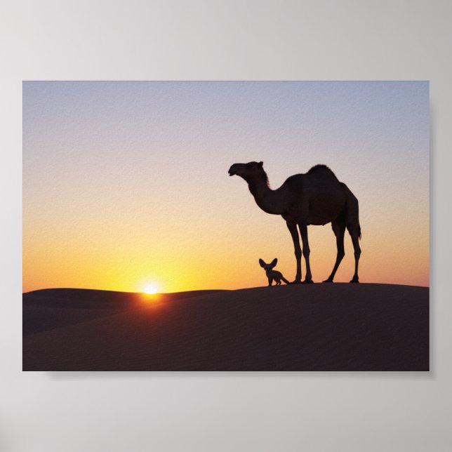 Póster Puesta de sol con camello y zorro fennec (Frente)