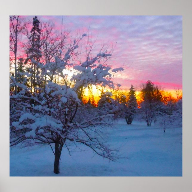 Póster Puesta de sol de invierno (Frente)