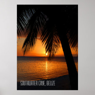 Póster Puesta de sol de palma tropical en Belice