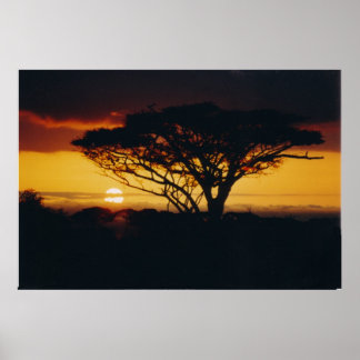 Póster puesta de sol en áfrica