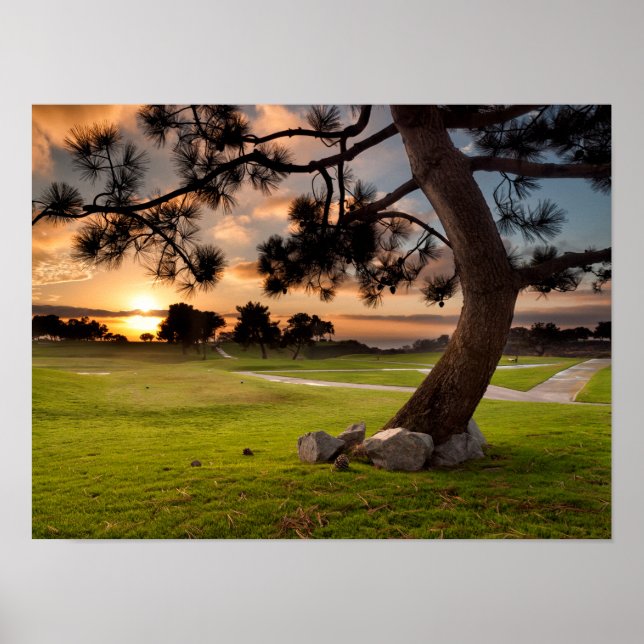 Póster Puesta de sol en campo de golf (Frente)