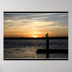 Póster Puesta de sol en Florida con pelícano