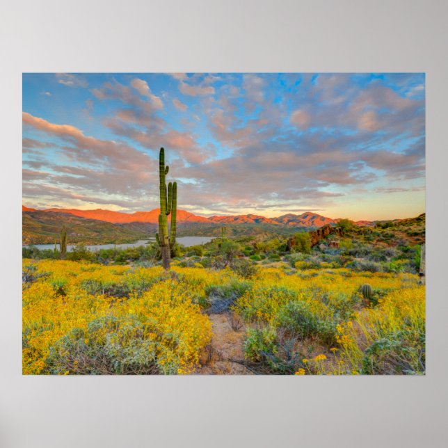 Póster Puesta de sol en paisaje desértico (Frente)