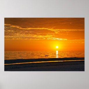Póster Puesta de sol naranja Florida