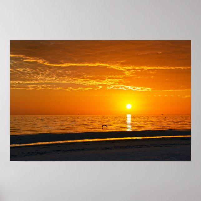 Póster Puesta de sol naranja Florida (Frente)