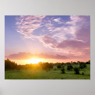 Póster Puesta de sol rosa púrpura sobre campo verde - Árb