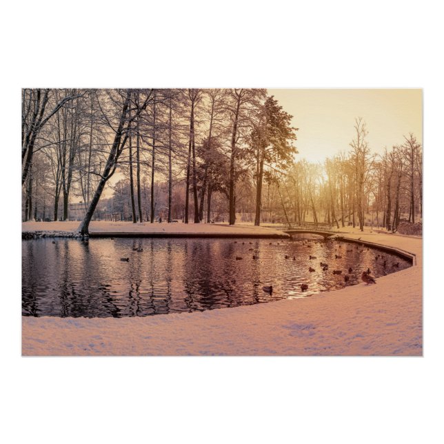 Póster Puesta de sol sobre el parque con un pequeño lago  (Anverso)
