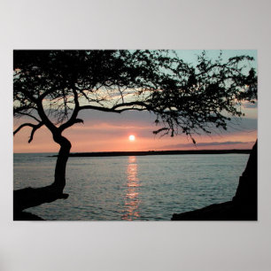 Póster Puesta del sol Carmel, CA