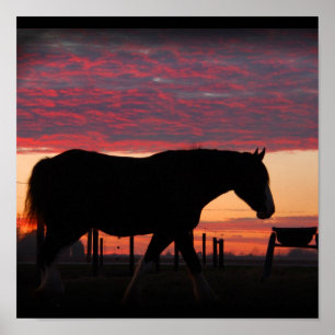 Póster Puesta del sol de Clydesdale