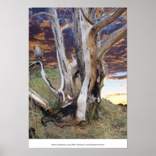 Póster Puesta del sol de Colorado