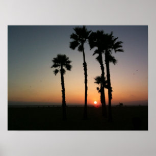 Póster Puesta del sol de Santa Mónica