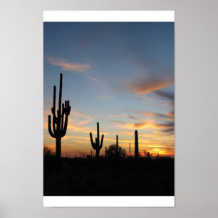 Póster Puesta del sol del cactus de Phoenix Arizona