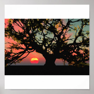Póster Puesta del sol del roble
