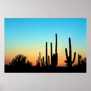Póster Puesta del sol del Saguaro