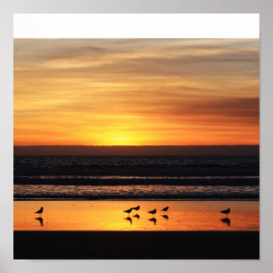 Póster Puesta del sol en California
