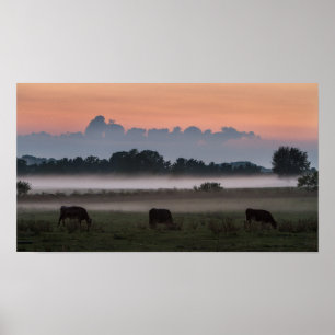 Póster Puesta del sol MOO-chigan